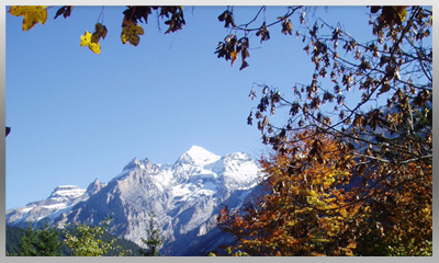 Waldegg - Aussicht nach Osten